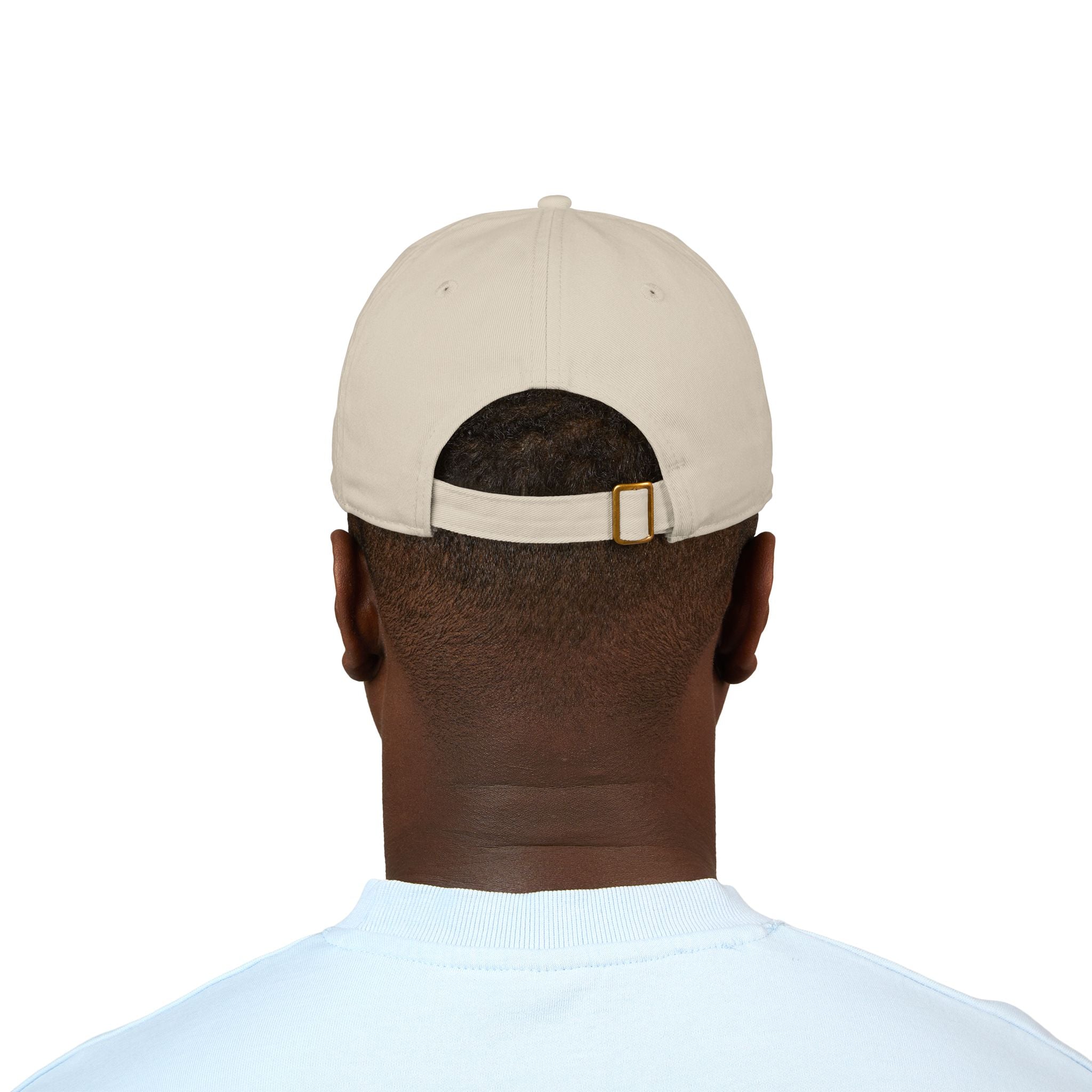 ISTJ Organic Baseball Cap