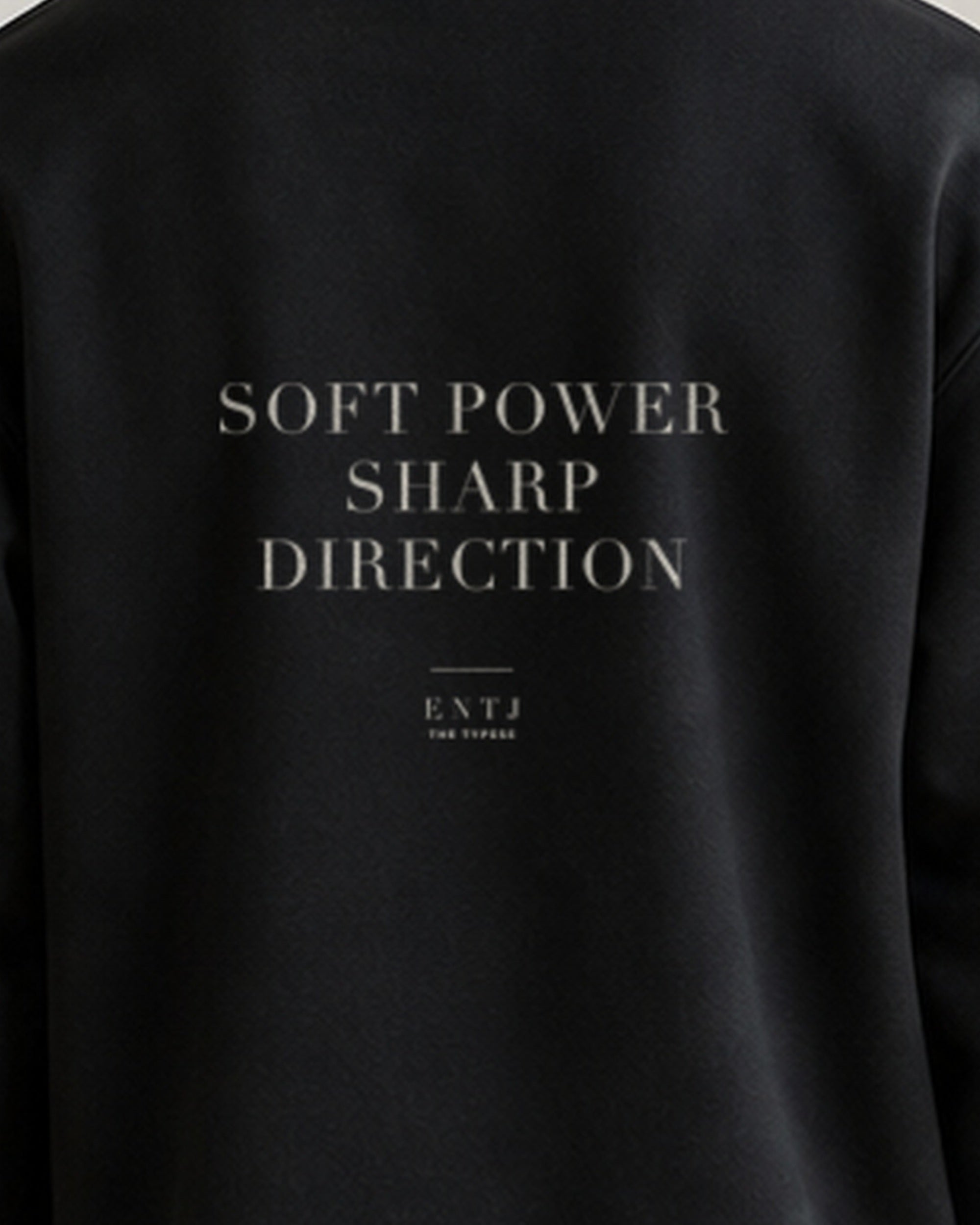 The Typese ENTJ Gildan crewneck sweatshirt in black, male back print close