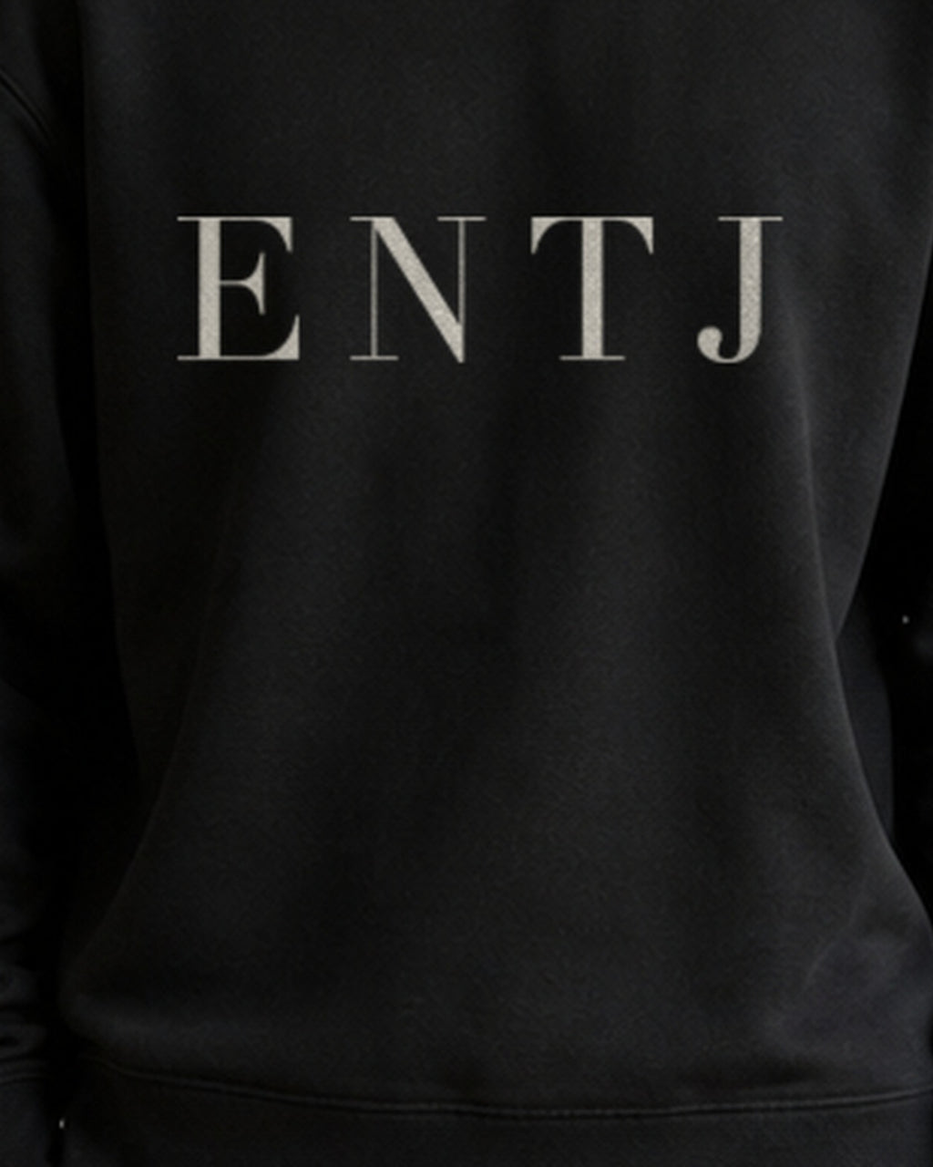 The Typese ENTJ Gildan crewneck sweatshirt in black, male front print close