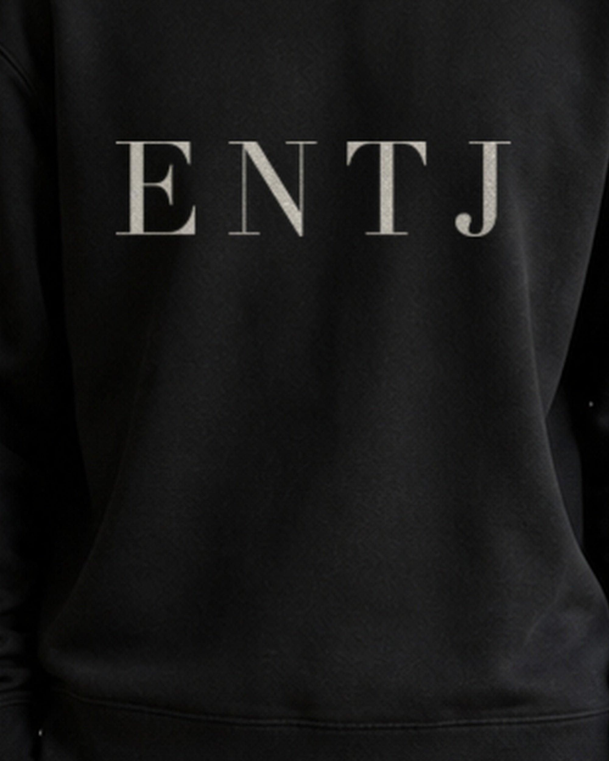 The Typese ENTJ Gildan crewneck sweatshirt in black, male front print close