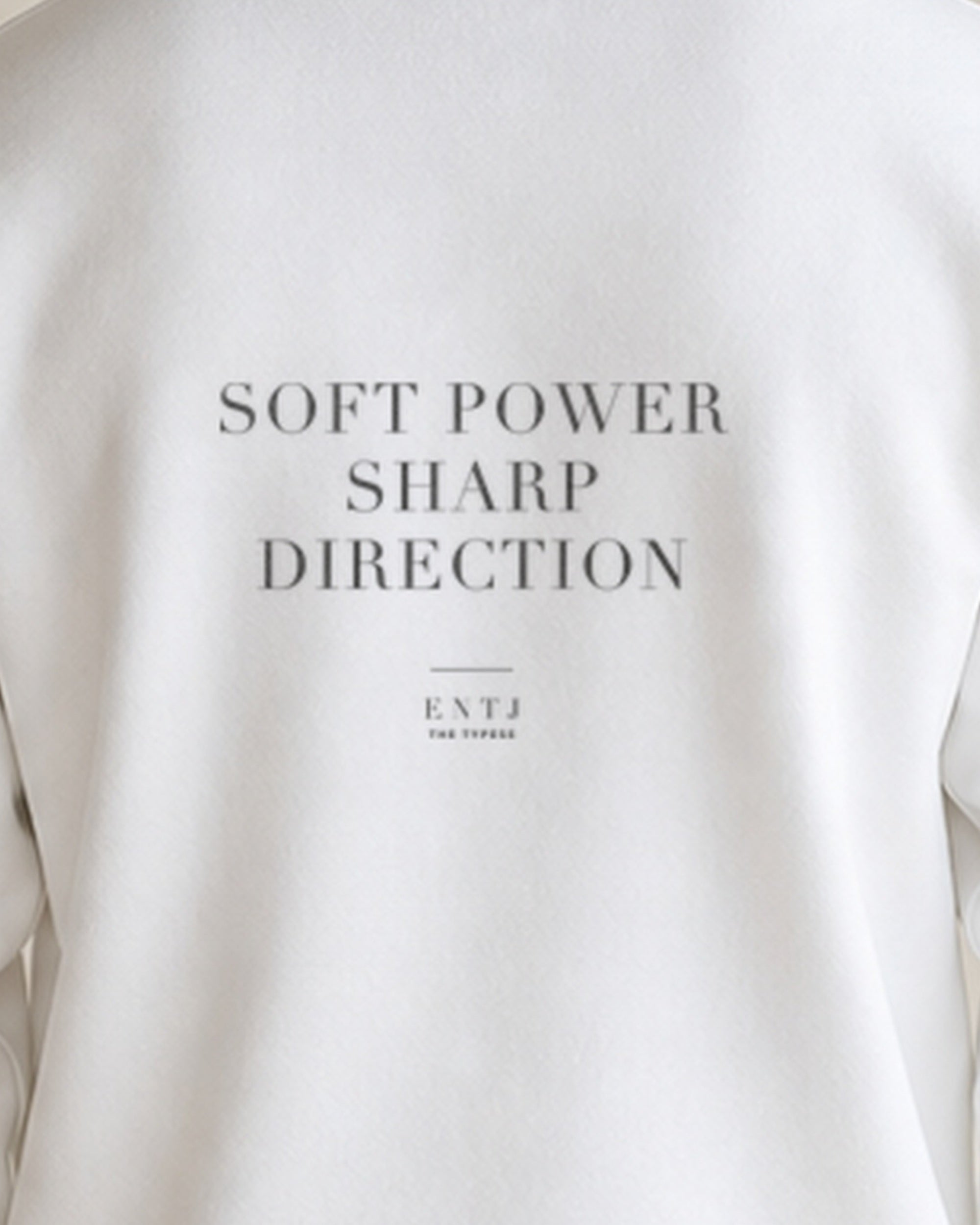 The Typese ENTJ Gildan crewneck sweatshirt in white, male back print close