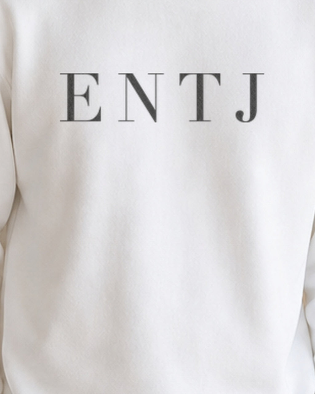 The Typese ENTJ Gildan crewneck sweatshirt in white, male front print close