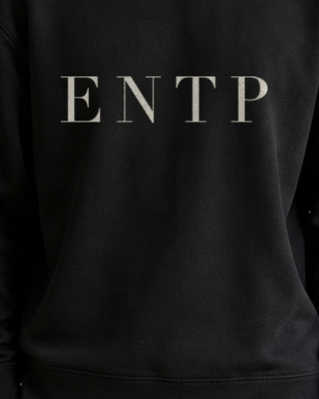 The Typese ENTP Gildan crewneck sweatshirt in black, male front print close