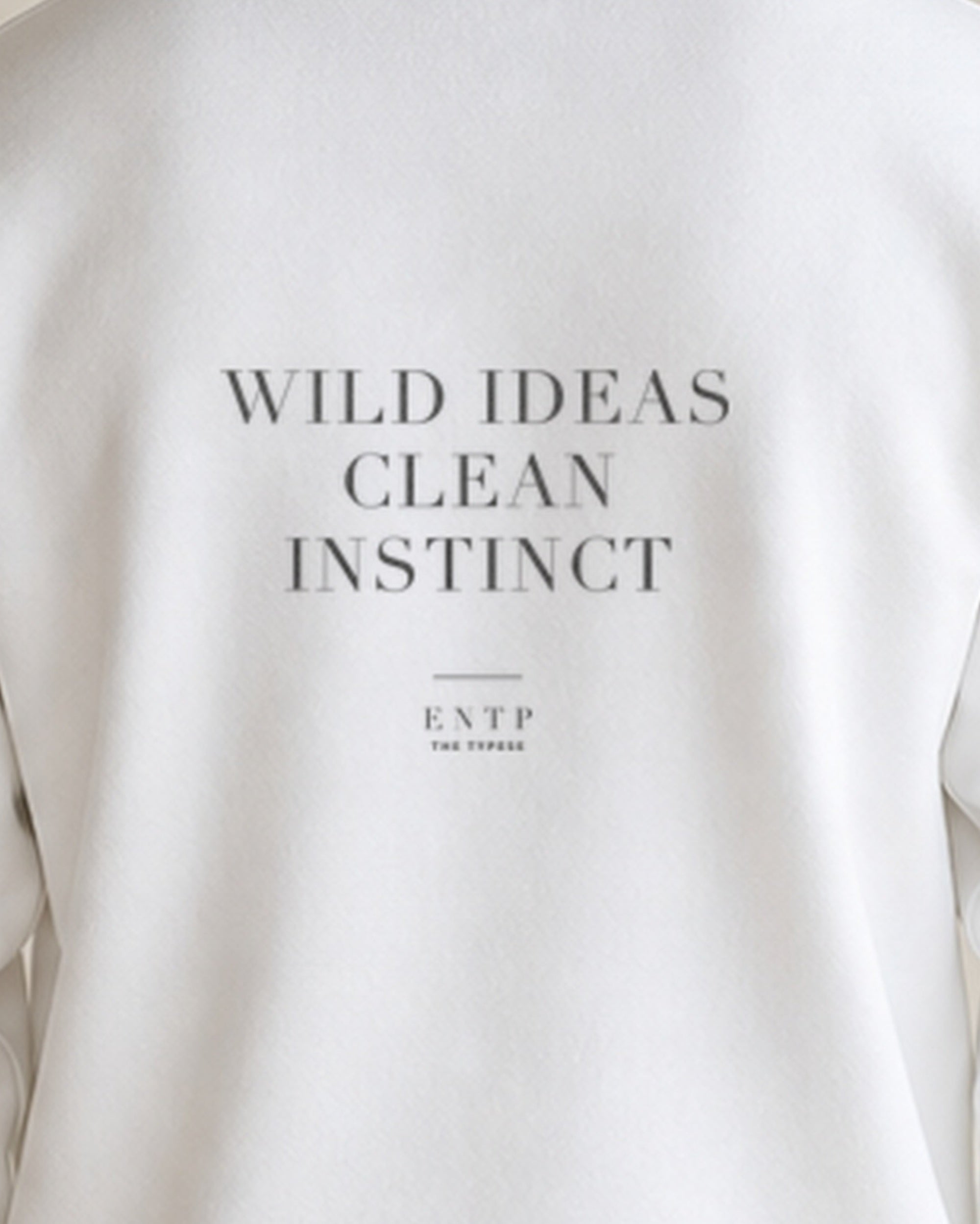 The Typese ENTP Gildan crewneck sweatshirt in white, male back print close