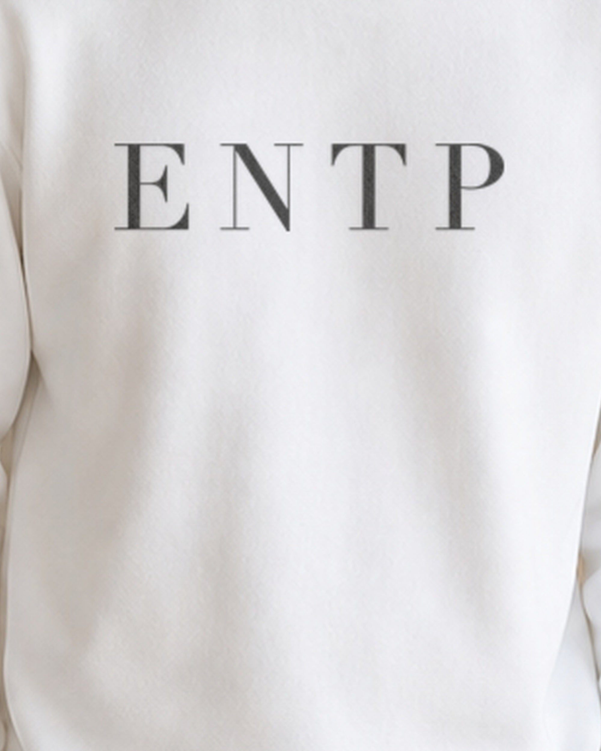 The Typese ENTP Gildan crewneck sweatshirt in white, male front print close