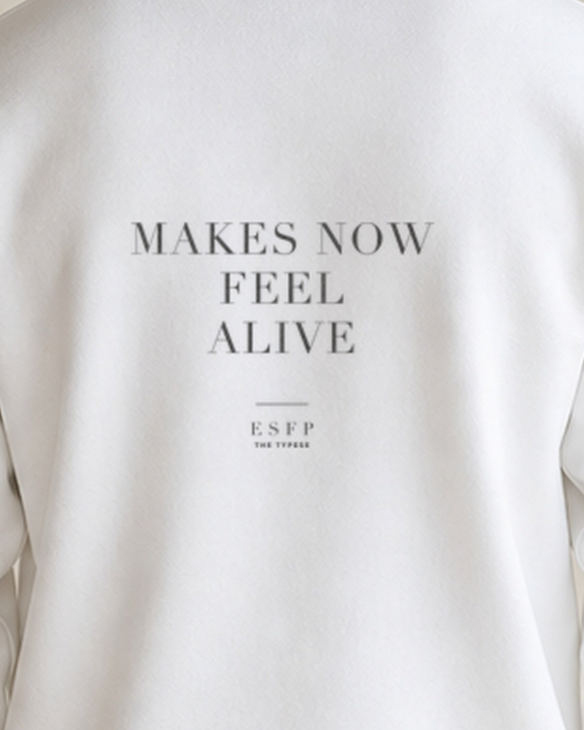 The Typese ESFP Gildan crewneck sweatshirt in white, male back print close
