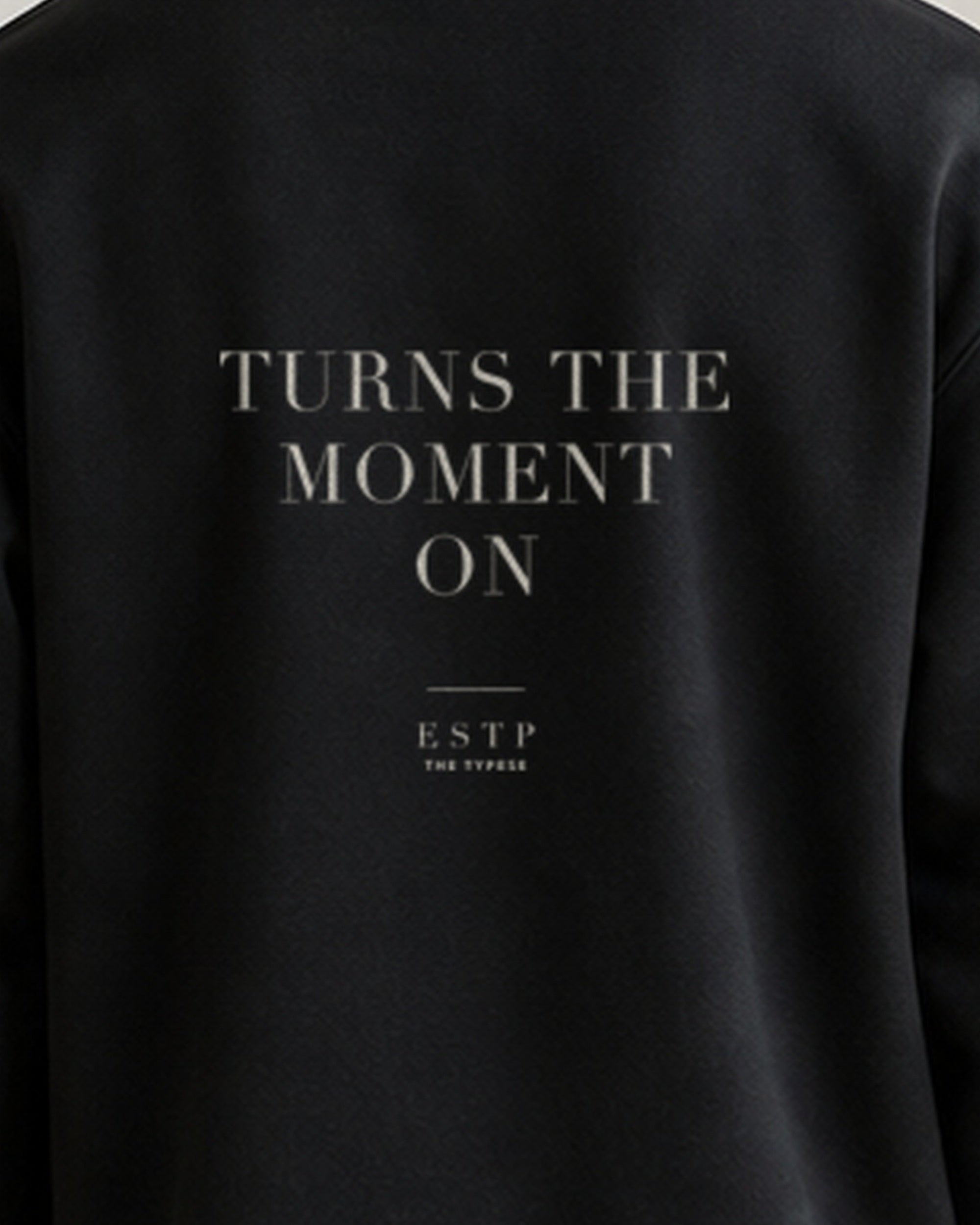 The Typese ESTP Gildan crewneck sweatshirt in black, male back print close
