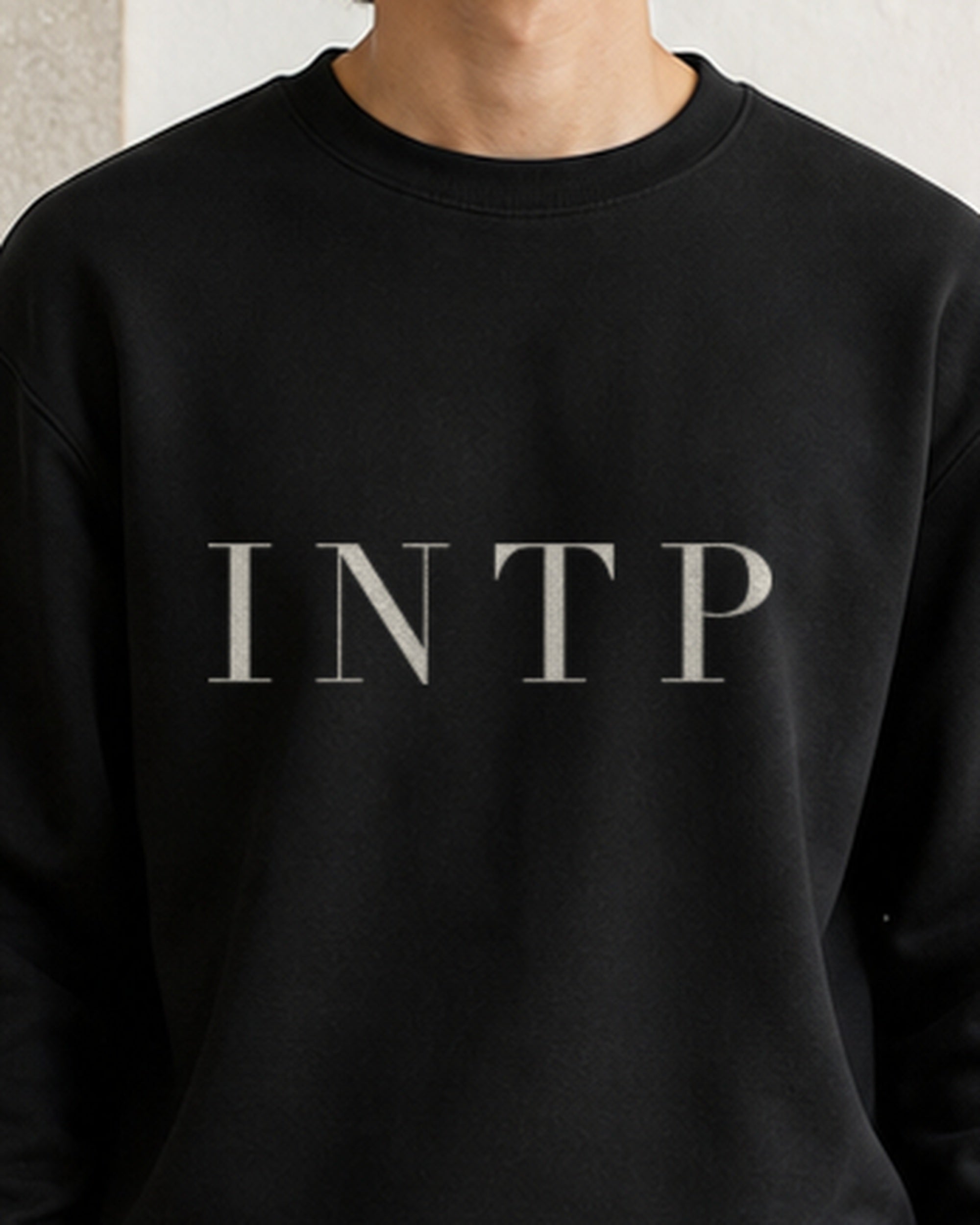 The Typese INTP Gildan crewneck sweatshirt in black, male front detail