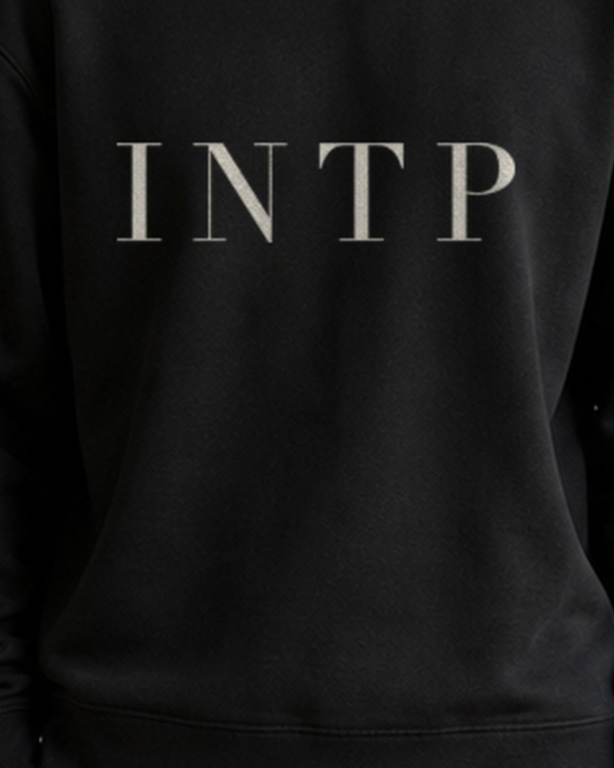 The Typese INTP Gildan crewneck sweatshirt in black, male front print close